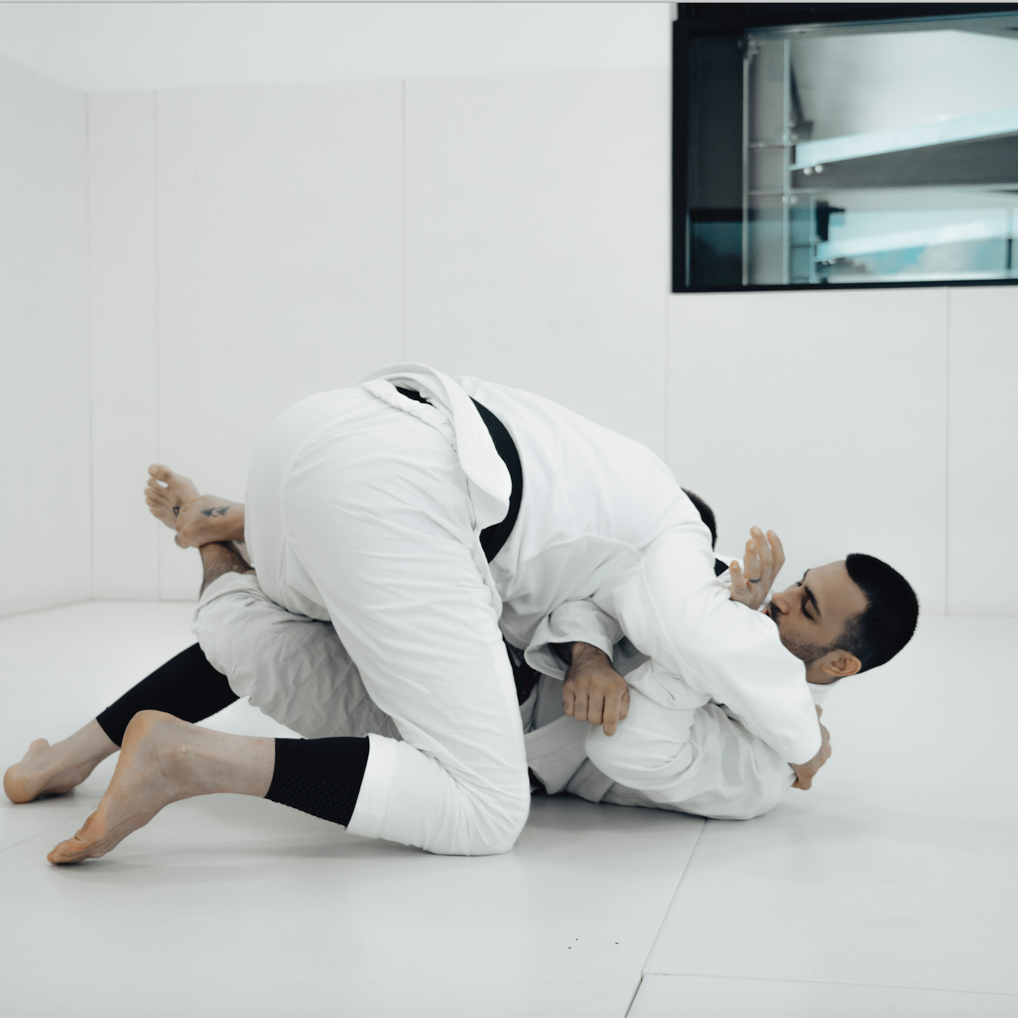 Synergy Adults Brazillian Jiu Jitsu Wollongong