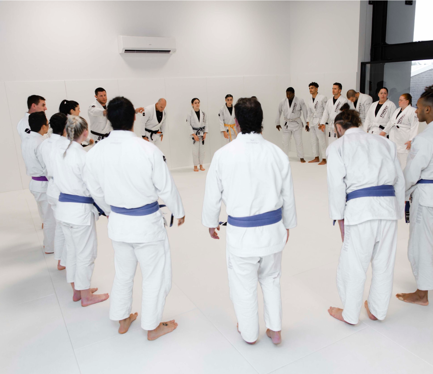 Synergy Adults BJJ Wollongong