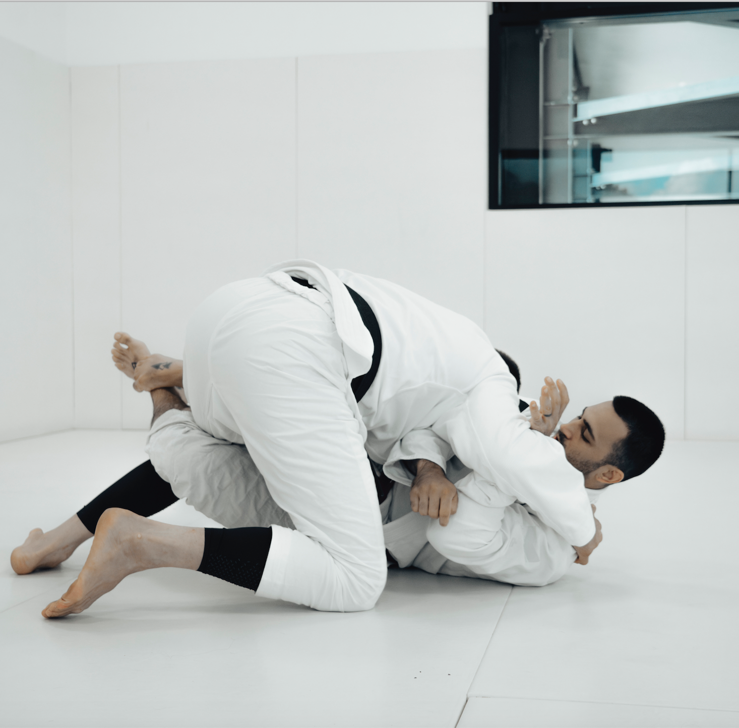 Synergy Adults Brazillian Jiu Jitsu Wollongong 